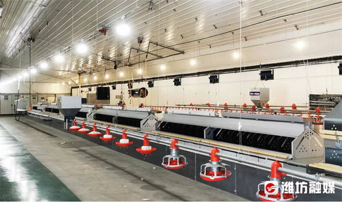 濰觀丨向世界遞上農業開放發展的 濰坊名片